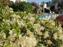 фото Mexicana Sharm Resort