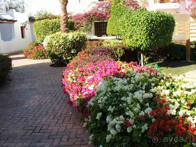 фото Mexicana Sharm Resort