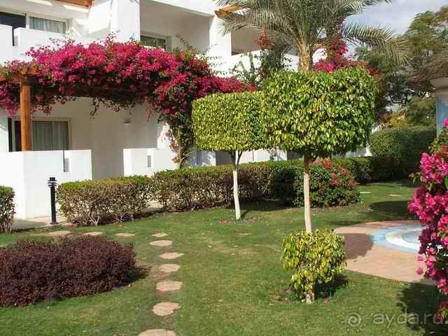 фото Mexicana Sharm Resort