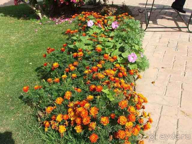 фото Mexicana Sharm Resort