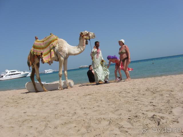 фото Hor Palace (закрыто)