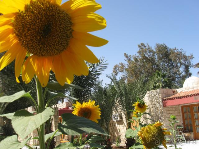 фото Hor Palace (закрыто)