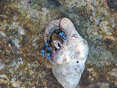 Мальдивы отель Herathera  атолл Addu