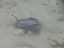 Мальдивы отель Herathera  атолл Addu