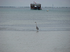 Мальдивы отель Herathera  атолл Addu