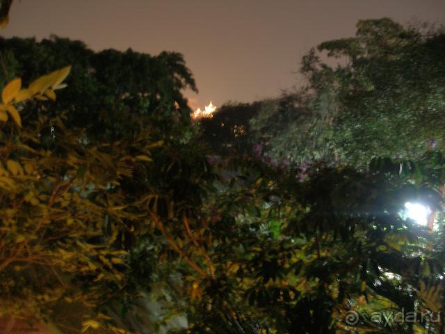 фото Pattaya Garden