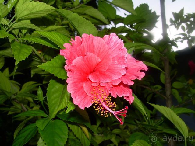 Мы были в Раю!!!