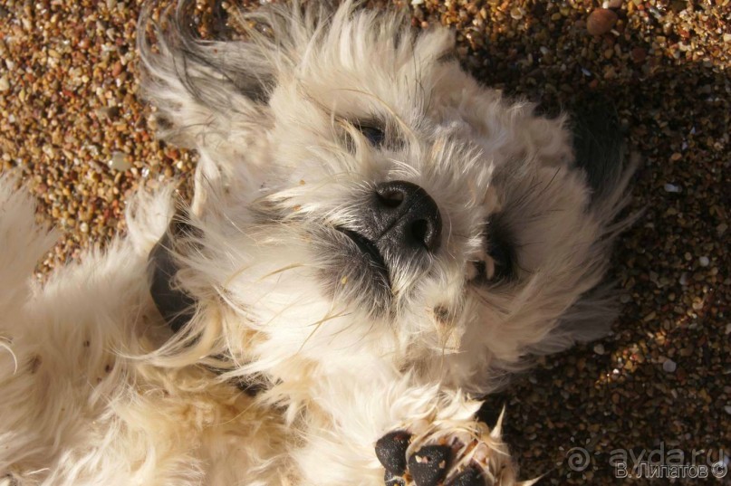 Бархатный отпуск на Крите + поездка на Санторин