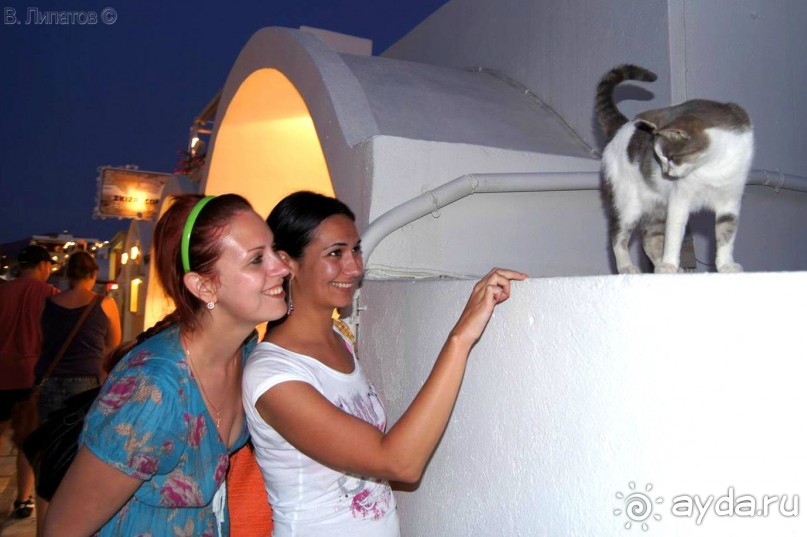 Бархатный отпуск на Крите + поездка на Санторин