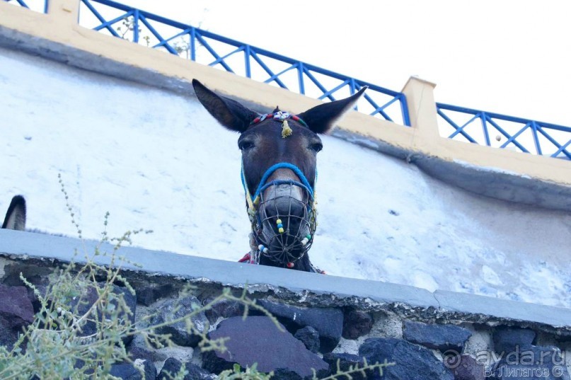 Бархатный отпуск на Крите + поездка на Санторин