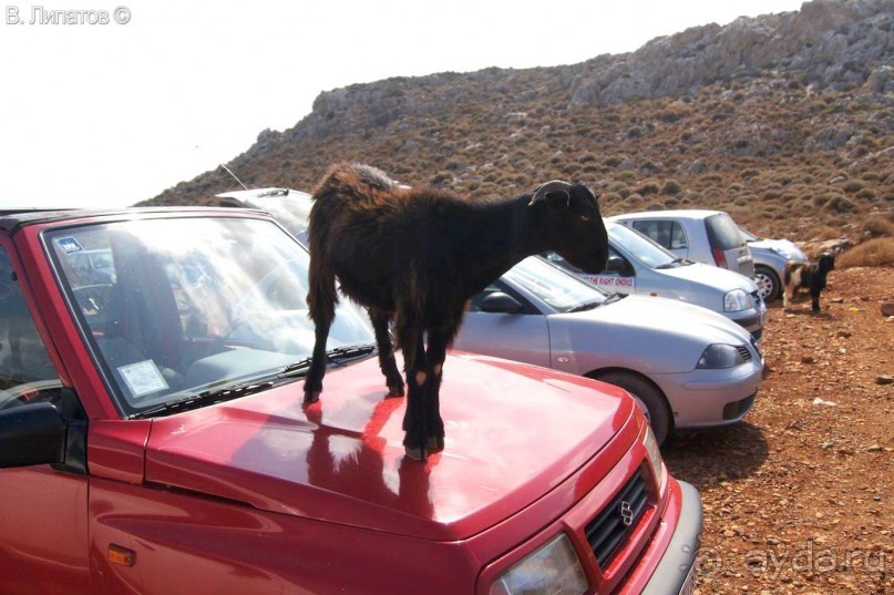 Бархатный отпуск на Крите + поездка на Санторин
