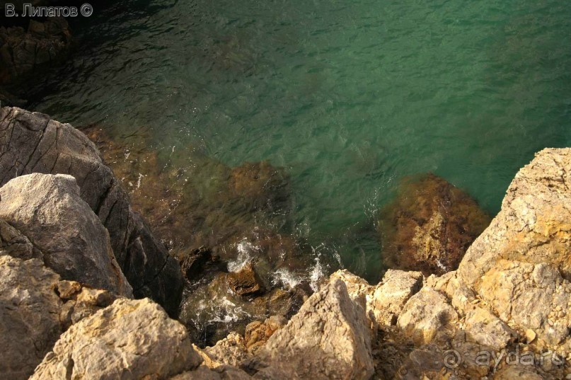 Бархатный отпуск на Крите + поездка на Санторин