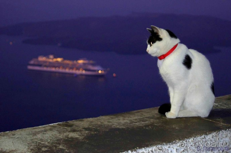 Бархатный отпуск на Крите + поездка на Санторин