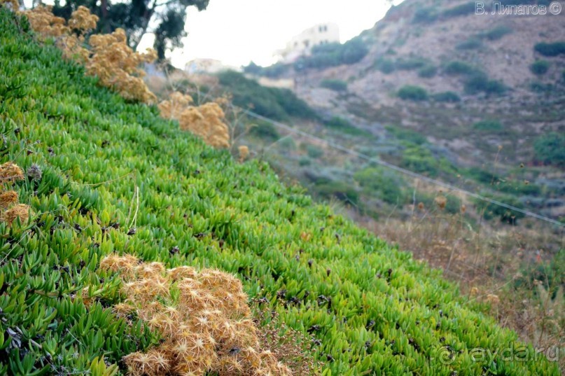 Бархатный отпуск на Крите + поездка на Санторин