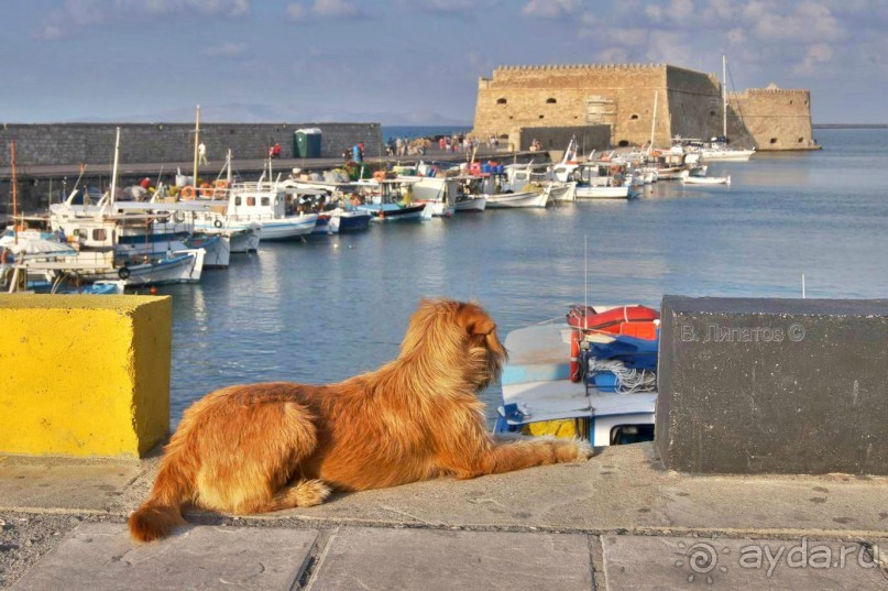 Бархатный отпуск на Крите + поездка на Санторин