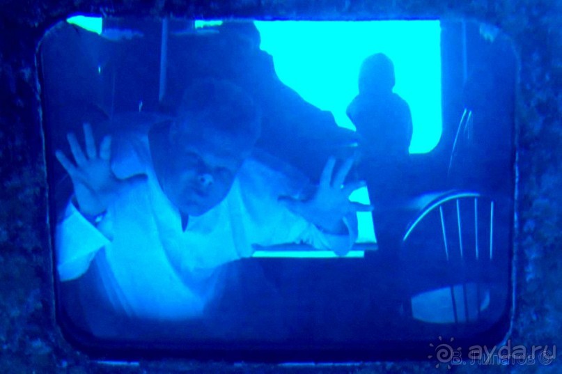 Из -25 в +25 или зимнее путешествие по Синаю, Израилю и Палестине