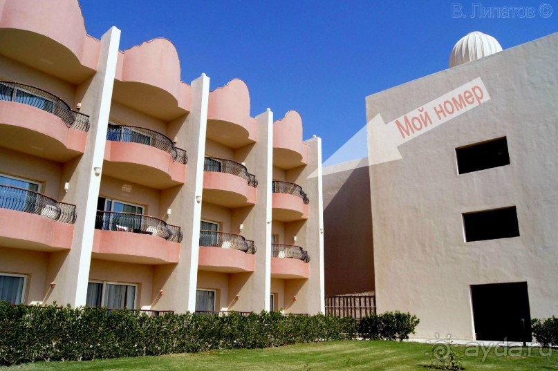 Из -25 в +25 или зимнее путешествие по Синаю, Израилю и Палестине