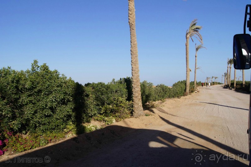 Из -25 в +25 или зимнее путешествие по Синаю, Израилю и Палестине