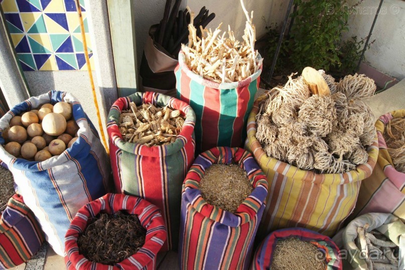 Из -25 в +25 или зимнее путешествие по Синаю, Израилю и Палестине