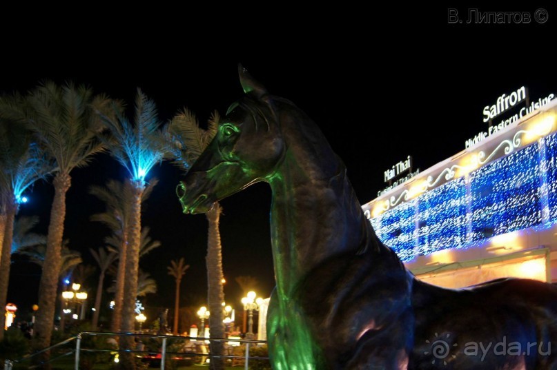 Из -25 в +25 или зимнее путешествие по Синаю, Израилю и Палестине