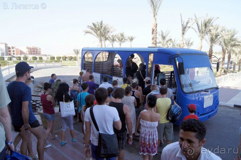 Из -25 в +25 или зимнее путешествие по Синаю, Израилю и Палестине