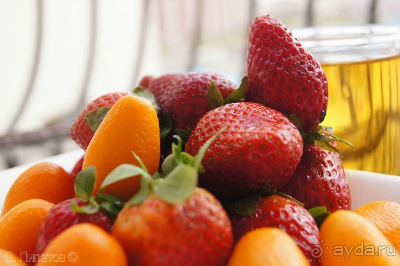 Из -25 в +25 или зимнее путешествие по Синаю, Израилю и Палестине