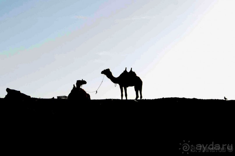 Из -25 в +25 или зимнее путешествие по Синаю, Израилю и Палестине