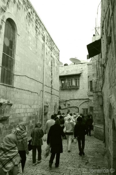 Из -25 в +25 или зимнее путешествие по Синаю, Израилю и Палестине