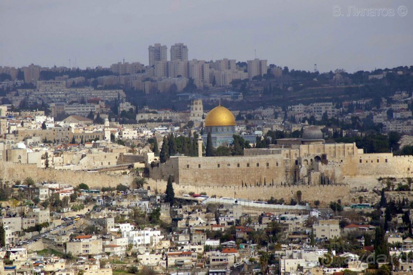 Из -25 в +25 или зимнее путешествие по Синаю, Израилю и Палестине