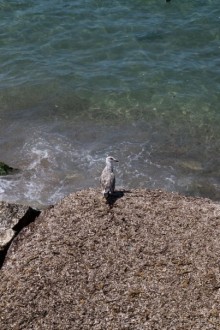 Южная Италия