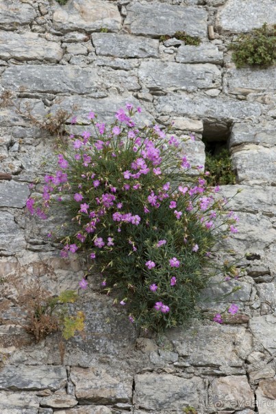 Южная Италия