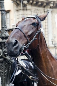 Южная Италия