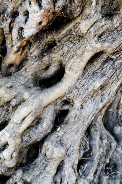 Южная Италия