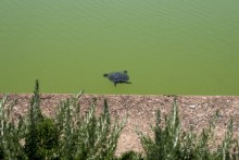 Южная Италия