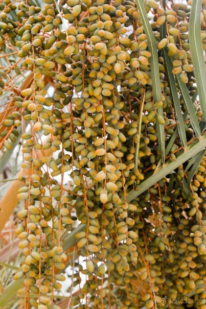 Южная Италия