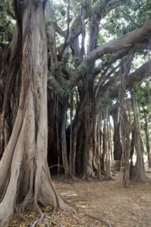 Южная Италия