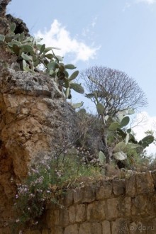 Южная Италия