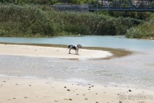 Южная Италия