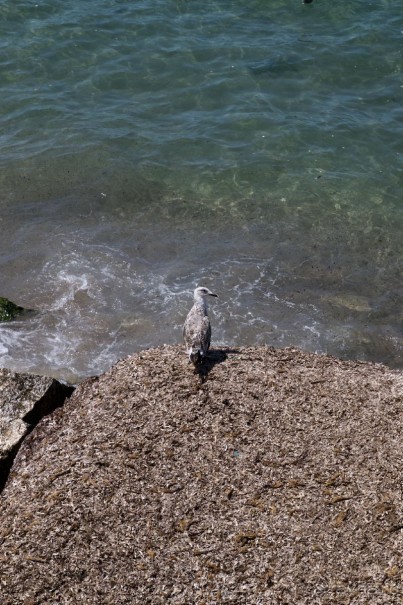 Южная Италия