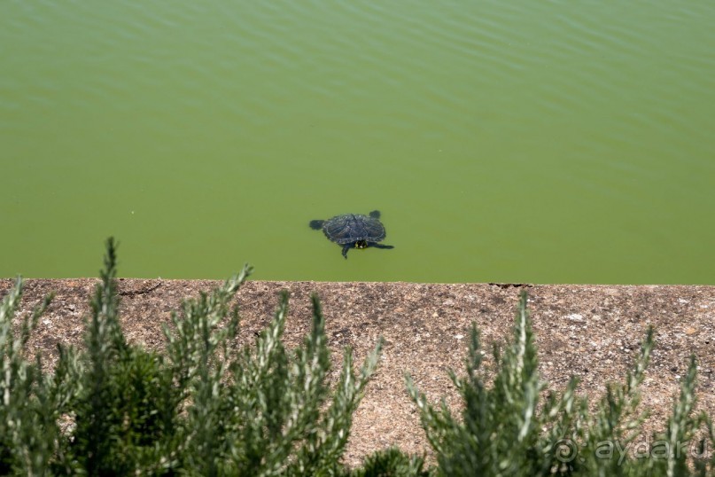 Южная Италия