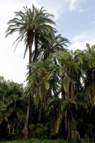 Южная Италия