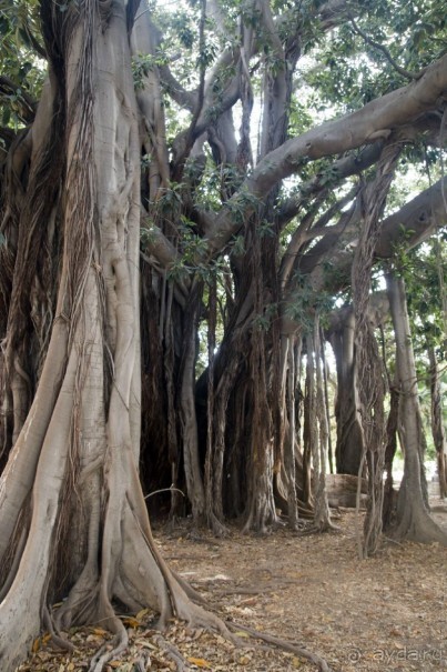 Южная Италия