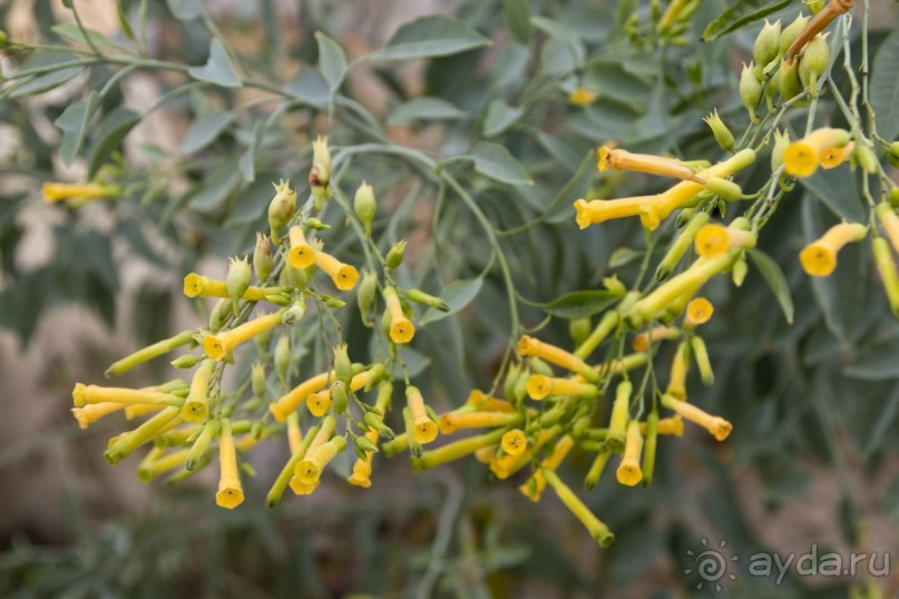 Южная Италия