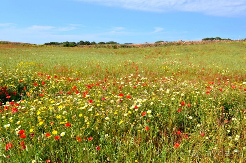 Альбом отзыва "о.Менорка Балеарские острова"