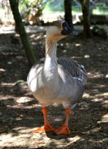 о.Менорка Балеарские острова