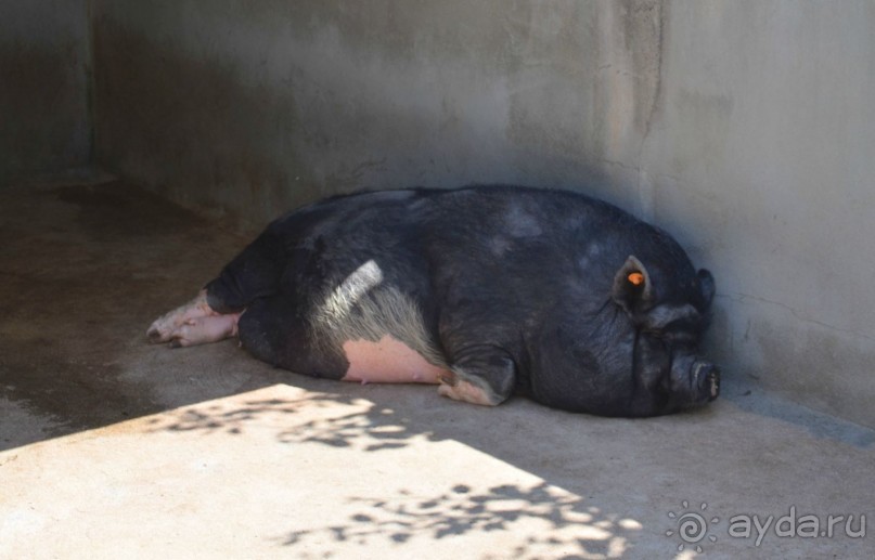 Альбом отзыва "о.Менорка Балеарские острова"