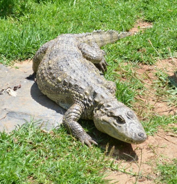 о.Менорка Балеарские острова