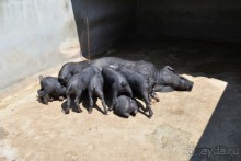 Альбом отзыва "о.Менорка Балеарские острова"