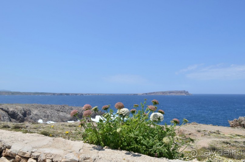 фото Менорки