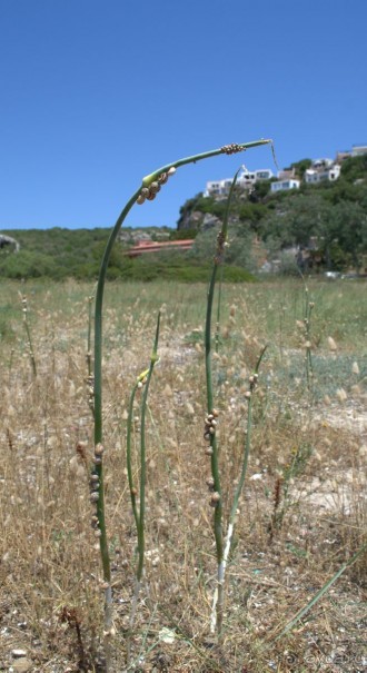 о.Менорка Балеарские острова